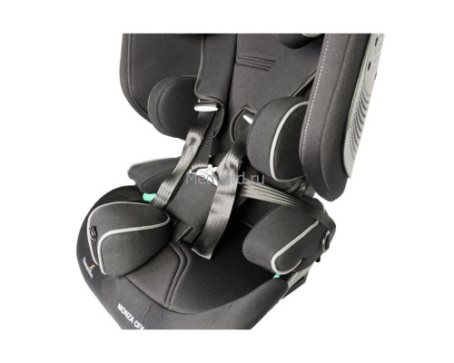 Детское автокресло Thomashilfen RECARO Monza CFX Reha