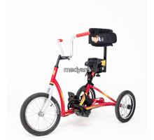 Велосипед для детей с ДЦП RAFT BIKE 2