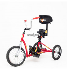 Велосипед для детей с ДЦП RAFT BIKE 2
