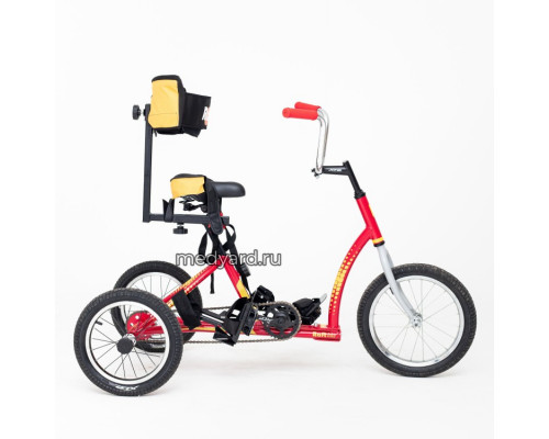 Велосипед для детей с ДЦП RAFT BIKE 2