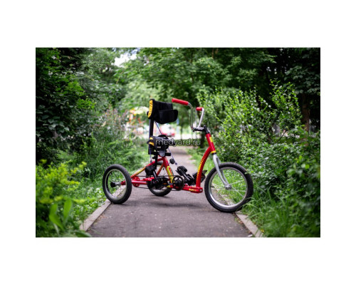 Велосипед для детей с ДЦП RAFT BIKE 2