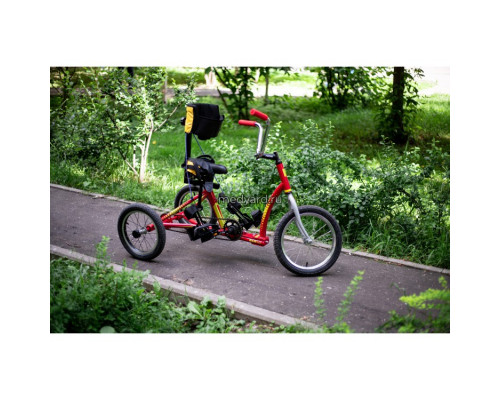 Велосипед для детей с ДЦП RAFT BIKE 2