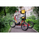 Велосипед для детей с ДЦП RAFT BIKE 2